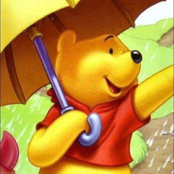 Meet your Posher, Melody - Picture 1 of 1